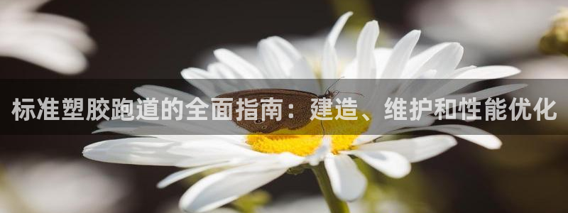 谈球吧是正规平台吗安全吗：标准塑胶跑道的全面指南：建