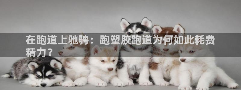 谈球吧是正规平台吗知乎：在跑道上驰骋：跑塑胶跑道为何