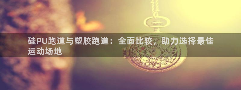 谈球吧登录网：硅PU跑道与塑胶跑道：全面比较，助力选择最佳
运动场地