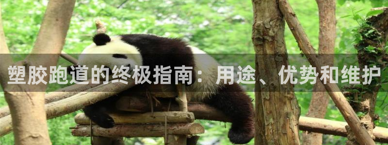 谈球吧是正规平台吗：塑胶跑道的终极指南：用途、优势和维护