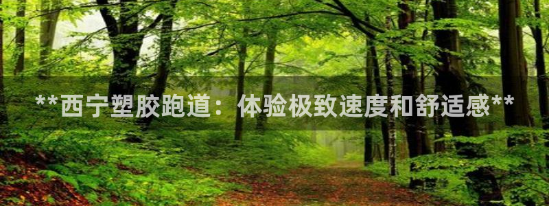 谈球吧黑款：**西宁塑胶跑道：体验极致速度和舒适感**