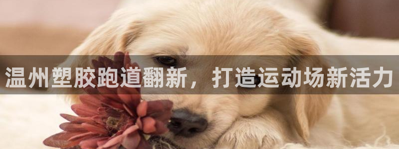 谈球吧入口
