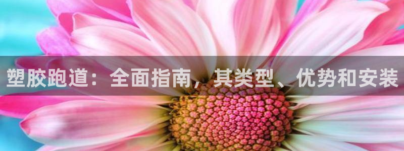 谈球吧平台正规吗可信吗：塑胶跑道：全面指南，其类型、优势和安装