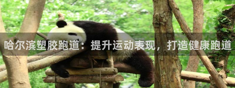 谈球吧平台app：哈尔滨塑胶跑道：提升运动表现，打造健康跑道