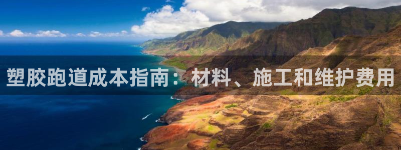 谈球吧算违法行为吗为什么：塑胶跑道成本指南：材料、施工和维护费用