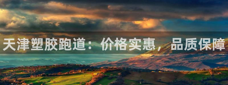 谈球吧在线登陆：天津塑胶跑道：价格实惠，品质保障