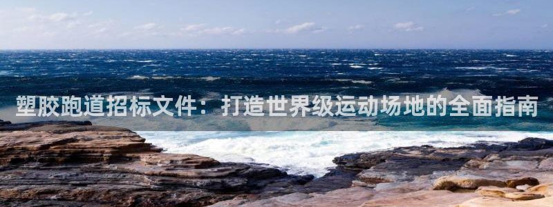 谈球吧登录：塑胶跑道招标文件：打造世界级运动场地的全面指南