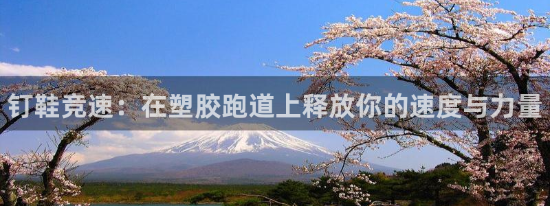 谈球吧官方网站：钉鞋竞速：在塑胶跑道上释放你的速度与力量