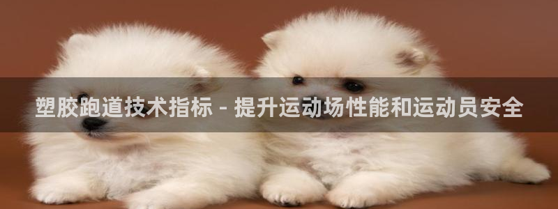 谈球吧买球是正规的吗：塑胶跑道技术指标 - 提升运动场性能和运动员安全