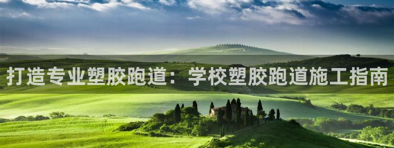 谈球吧平台正规吗可靠吗安全吗：打造专业塑胶跑道：学校塑胶跑道施工指南