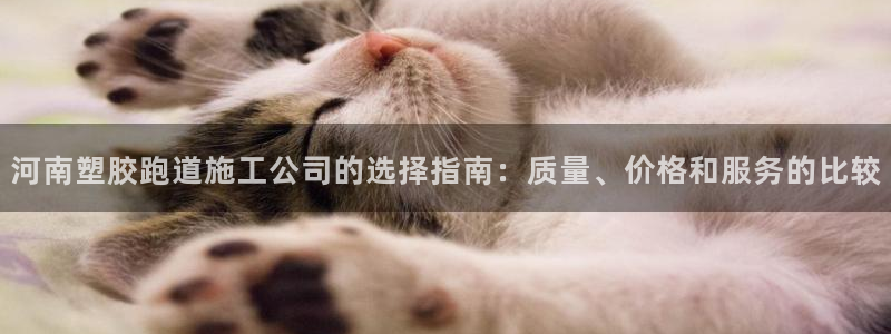 谈球吧app赛事分析报告
