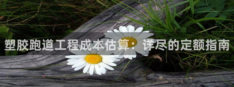 谈球吧登录网：塑胶跑道工程成本估算：详尽的定额指南