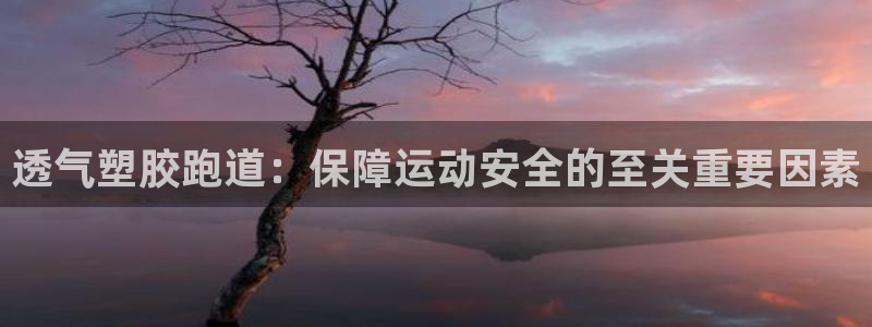谈球吧体育首页综合登陆：透气塑胶跑道：保障运动安全的至关重要因素
