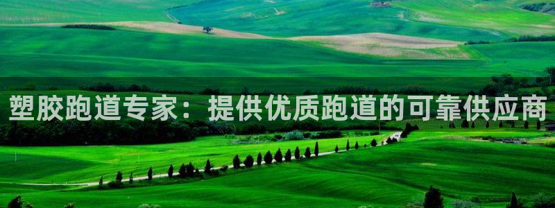 谈球吧app赛事分析报告：塑胶跑道专家：提供优质跑道的可靠供应商