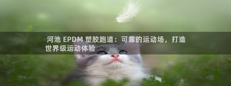 谈球吧体育ios下载