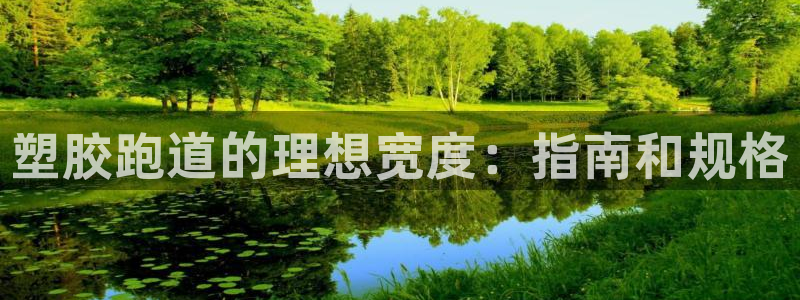 谈球吧是黑台子吗：塑胶跑道的理想宽度：指南和规格