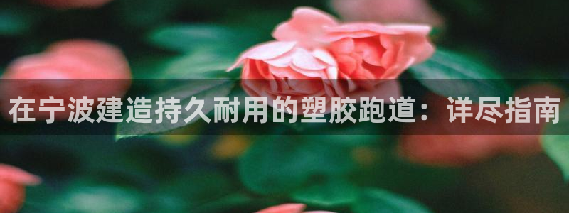 谈球吧nba：在宁波建造持久耐用的塑胶跑道：详尽指南