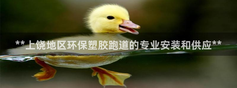 谈球吧电子app：**上饶地区环保塑胶跑道的专业安装和供应**