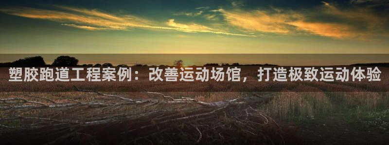 谈球吧官网在线入口免费观看高清视频：塑胶跑道工程案例