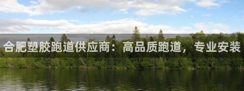 谈球吧是否诈骗：合肥塑胶跑道供应商：高品质跑道，专业安装