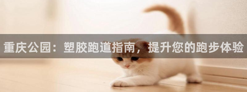 谈球吧真人：重庆公园：塑胶跑道指南，提升您的跑步体验