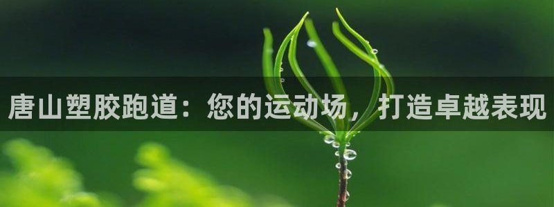 谈球吧官网登录：唐山塑胶跑道：您的运动场，打造卓越表现