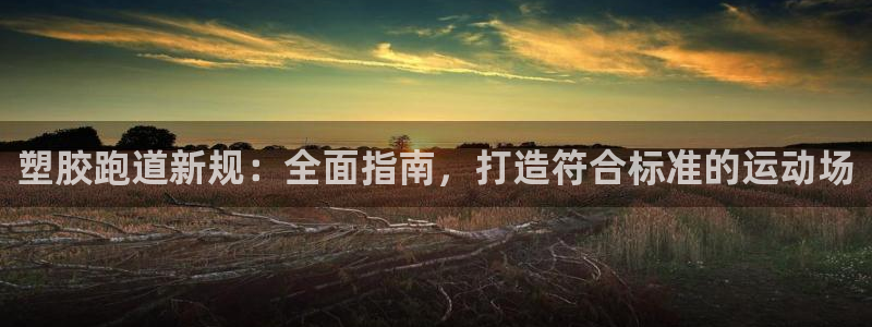 谈球吧平台app下载网址：塑胶跑道新规：全面指南，打造符合标准的运动场