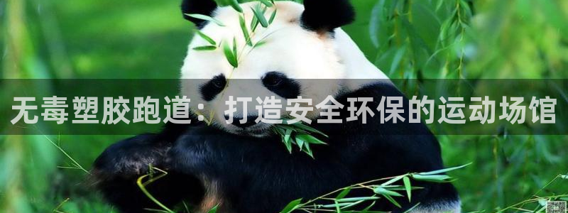 谈球吧官网入口在线观看：无毒塑胶跑道：打造安全环保的运动场馆