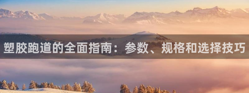 谈球吧怎么充值：塑胶跑道的全面指南：参数、规格和选择技巧