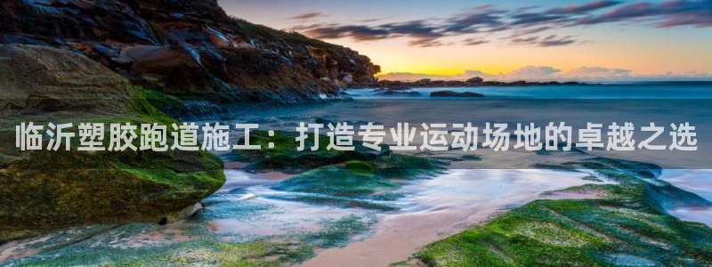 谈球吧怎么充值：临沂塑胶跑道施工：打造专业运动场地的卓越之选