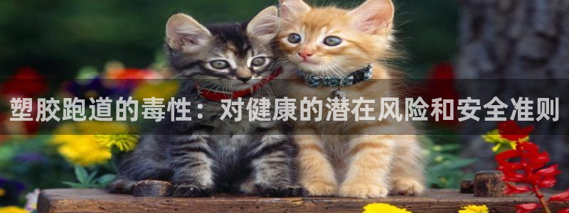 谈球吧体育app官网下载安卓