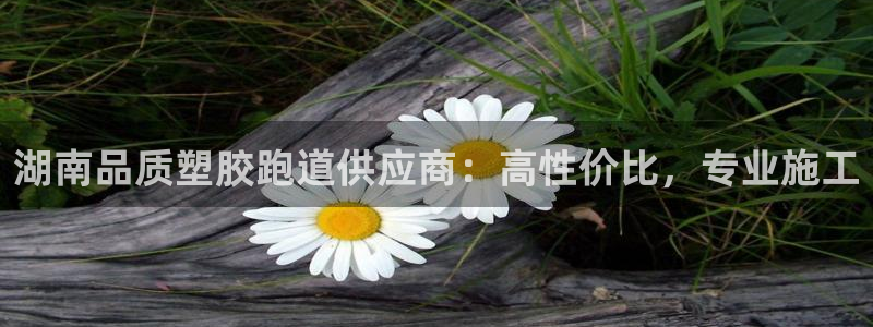 谈球吧官网在线入口手机版免费：湖南品质塑胶跑道供应商：高性价比，专业施工