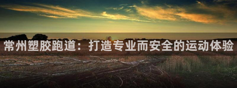 谈球吧黑款不：常州塑胶跑道：打造专业而安全的运动体验