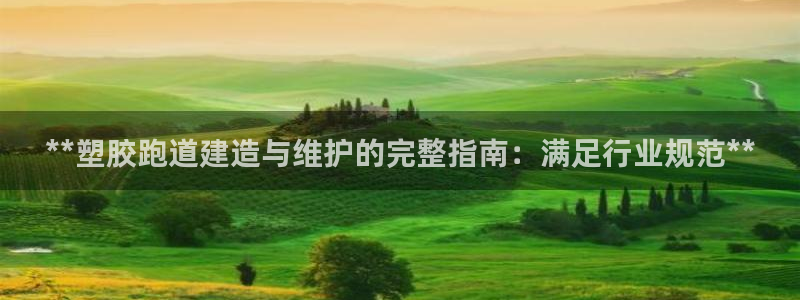 谈球吧在线登陆：**塑胶跑道建造与维护的完整指南：满足行业规范**