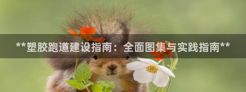 谈球吧体育app官网下载安装：**塑胶跑道建设指南：全面图集与实践指南**