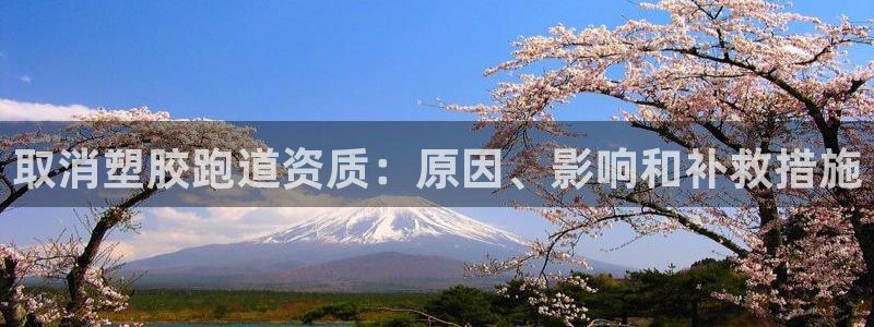 谈球吧最新APP下载：取消塑胶跑道资质：原因、影响和补救措施