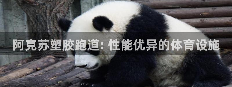 谈球吧官网在线入口网址：阿克苏塑胶跑道: 性能优异的体育设施