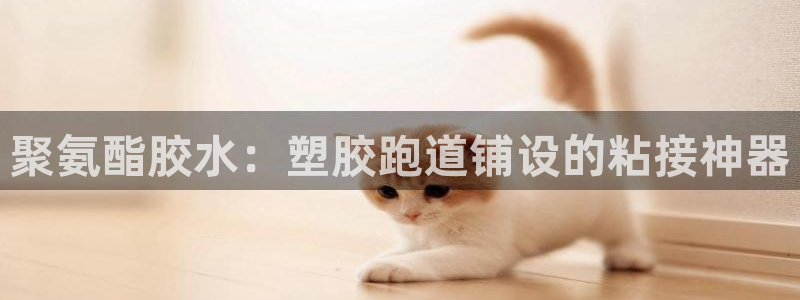 谈球吧的聊天软件叫什么：聚氨酯胶水：塑胶跑道铺设的粘接神器