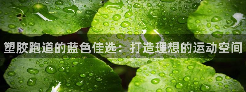 谈球吧平台正规吗可信吗安全吗：塑胶跑道的蓝色佳选：打造理想的运动空间