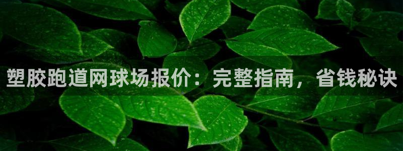 谈球吧在线登陆：塑胶跑道网球场报价：完整指南，省钱秘诀
