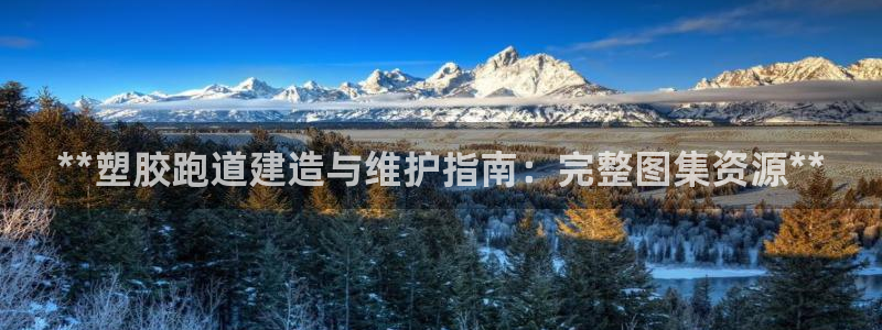 谈球吧是黑台子吗：**塑胶跑道建造与维护指南：完整图集资源**