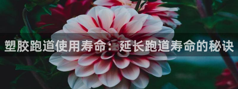 谈球吧app靠谱吗：塑胶跑道使用寿命：延长跑道寿命的秘诀