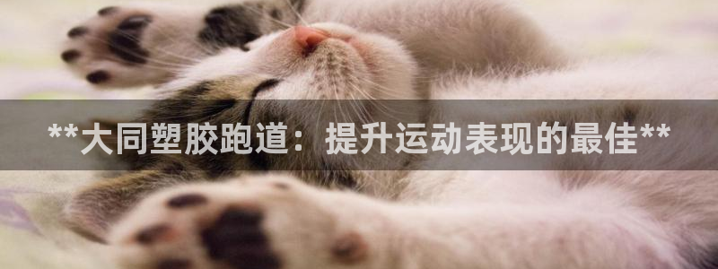 谈球吧娱乐app下载官网苹果：**大同塑胶跑道：提升运动表现的最佳**