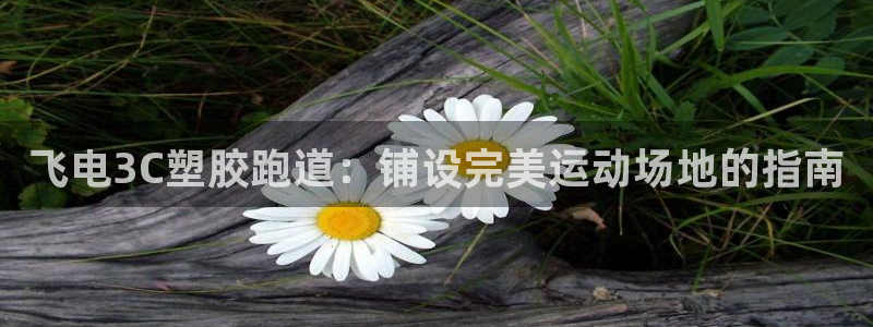 谈球吧app赛事分析在哪里看到