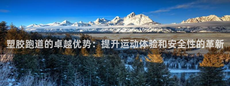 谈球吧是正规平台吗安全吗：塑胶跑道的卓越优势：提升运动体验和安全性的革新