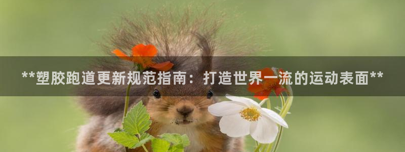 谈球吧被黑不给提现：**塑胶跑道更新规范指南：打造世界一流的运动表面**
