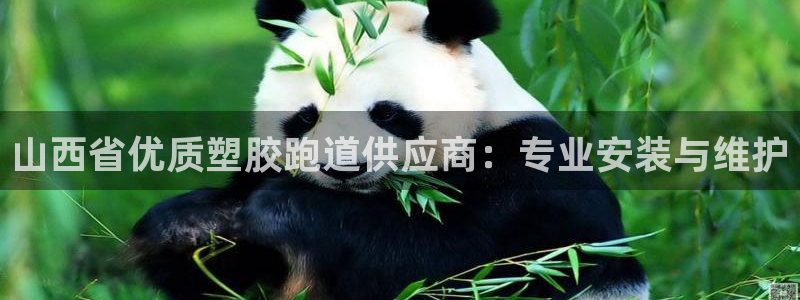 谈球吧体育app登陆不上：山西省优质塑胶跑道供应商：专业安装与维护