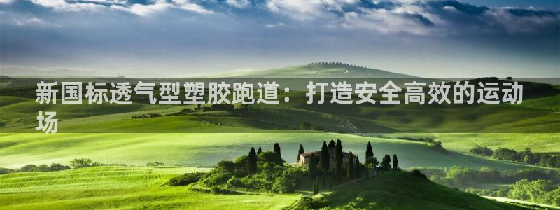 谈球吧论坛：新国标透气型塑胶跑道：打造安全高效的运动
场