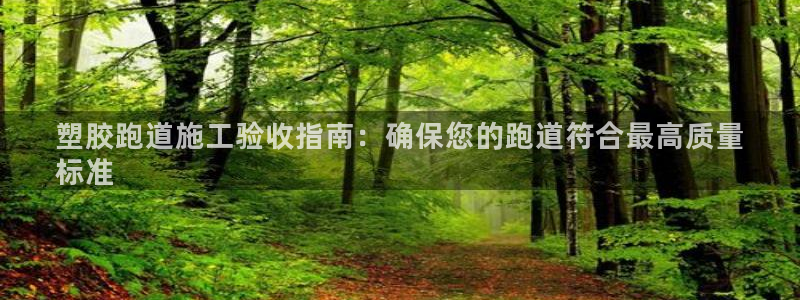 谈球吧tvt：塑胶跑道施工验收指南：确保您的跑道符合最高质量
标准