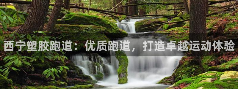谈球吧下载：西宁塑胶跑道：优质跑道，打造卓越运动体验